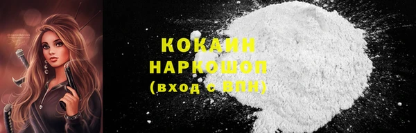 мдпв Пересвет