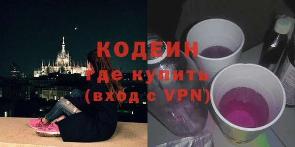 мдпв Пересвет