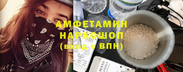 мдпв Пересвет